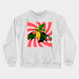 Lemon Crewneck Sweatshirt